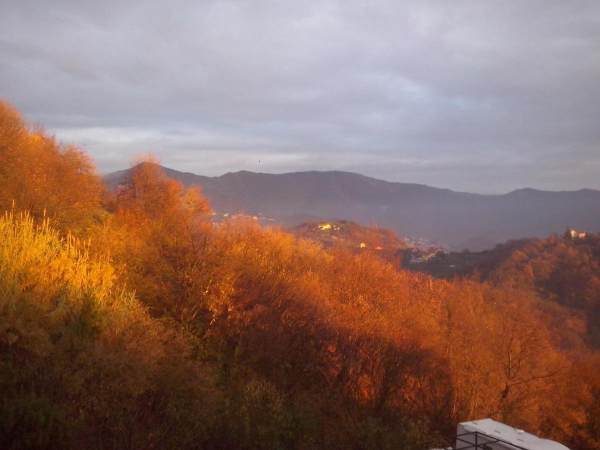 Sant'Olcese B&B Terre E Colori מראה חיצוני תמונה